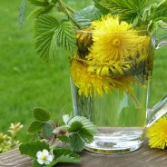 (de) Der Sommer ist bunt und vielfältig!!